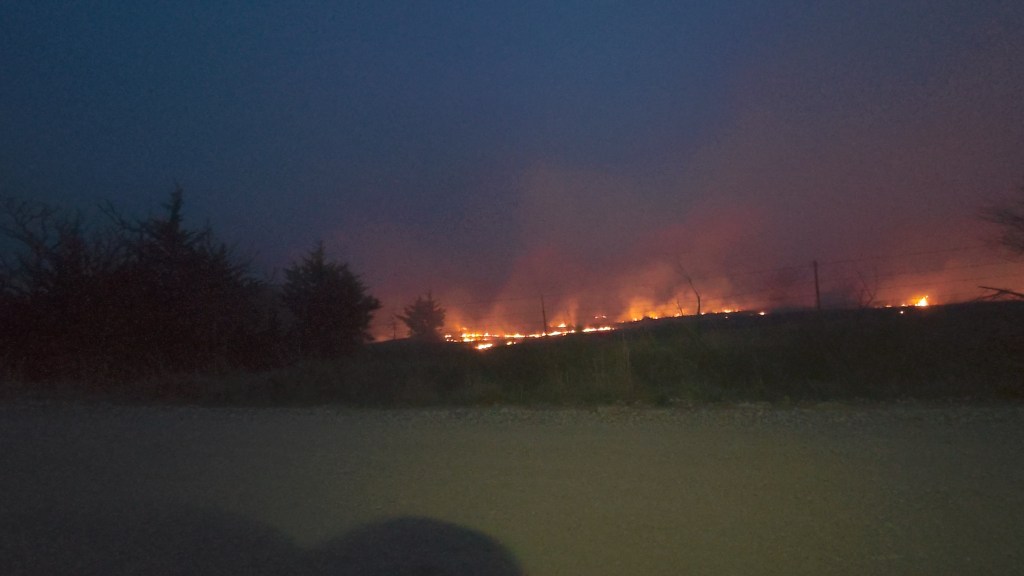 Kamikaze bunnies in the&nbsp;dark